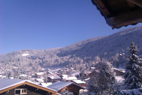 Chalet - Central Les Carroz Exceptional Location
